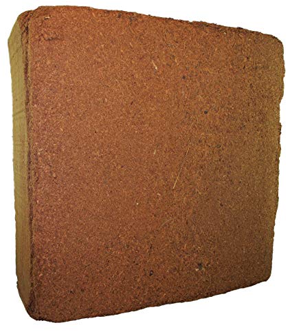 Coconut Coir Brick