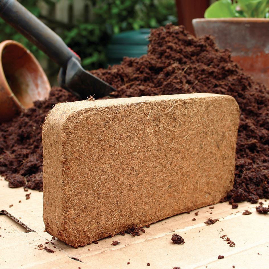 Coconut Coir Brick