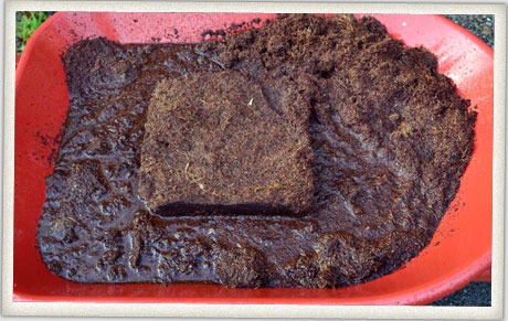 Coconut Coir Brick